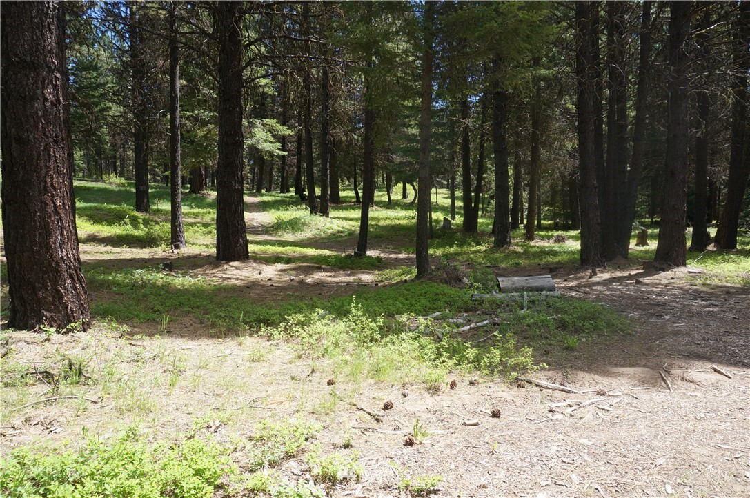 17 Wagon Wheel Road Cle Elum, WA 98922 - Photo 4 of 14 Gallery Image 4