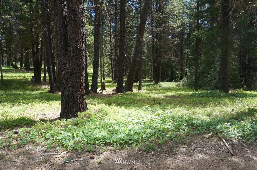 17 Wagon Wheel Road Cle Elum, WA 98922 - Photo 5 of 14 Gallery Image 5