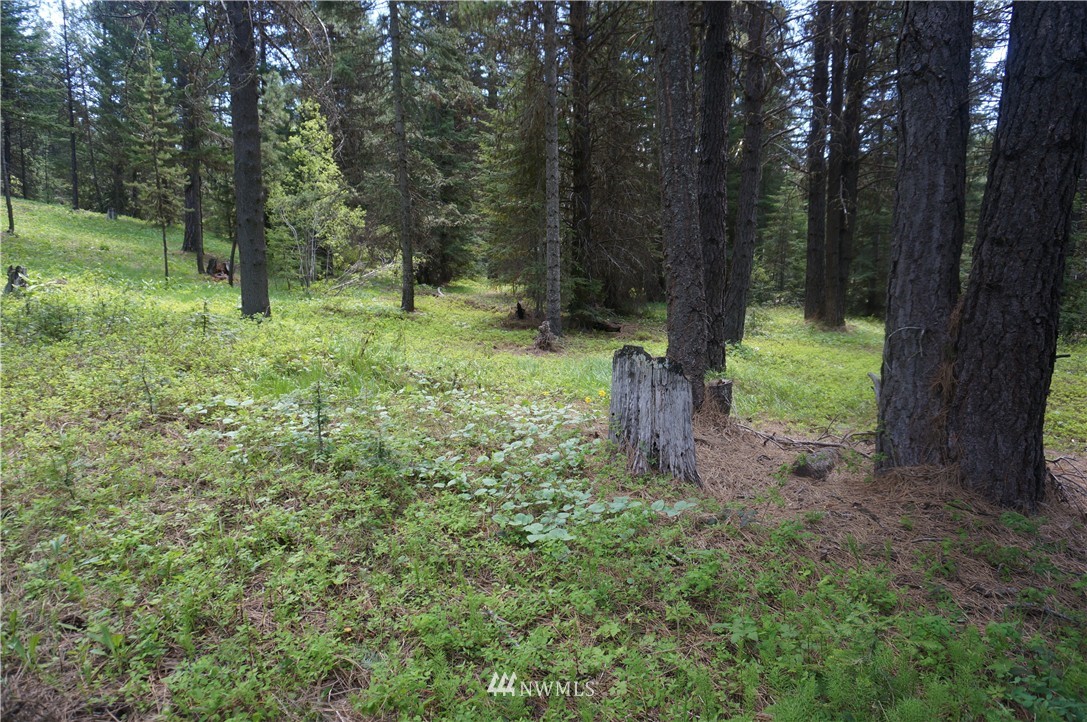 17 Wagon Wheel Road Cle Elum, WA 98922 - Photo 7 of 14 Gallery Image 7