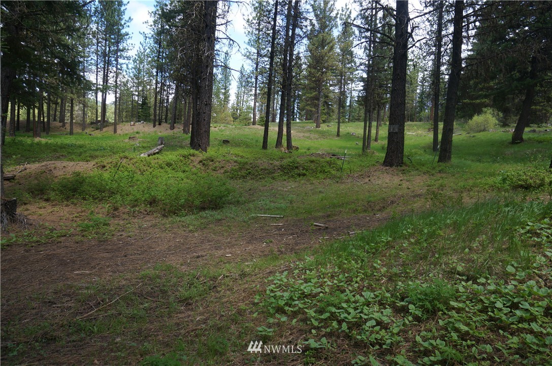 17 Wagon Wheel Road Cle Elum, WA 98922 - Photo 9 of 14 Gallery Image 9