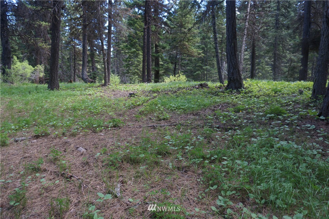 17 Wagon Wheel Road Cle Elum, WA 98922 - Photo 10 of 14 Gallery Image 10