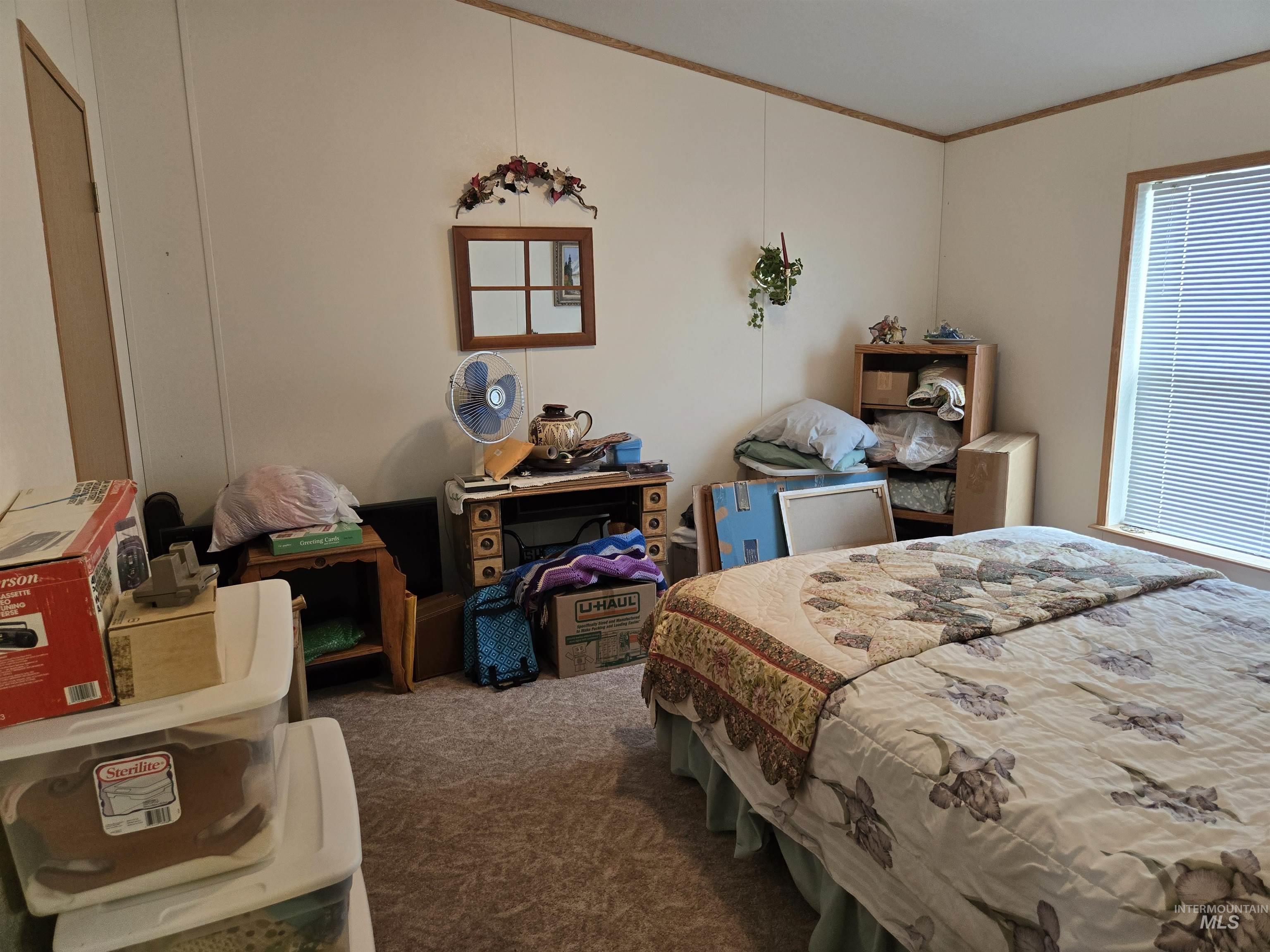 2750 Alden Road, Unit 37 Fruitland, ID 83619 - Photo 21 of 30 Bedroom with carpet flooring and ornamental molding