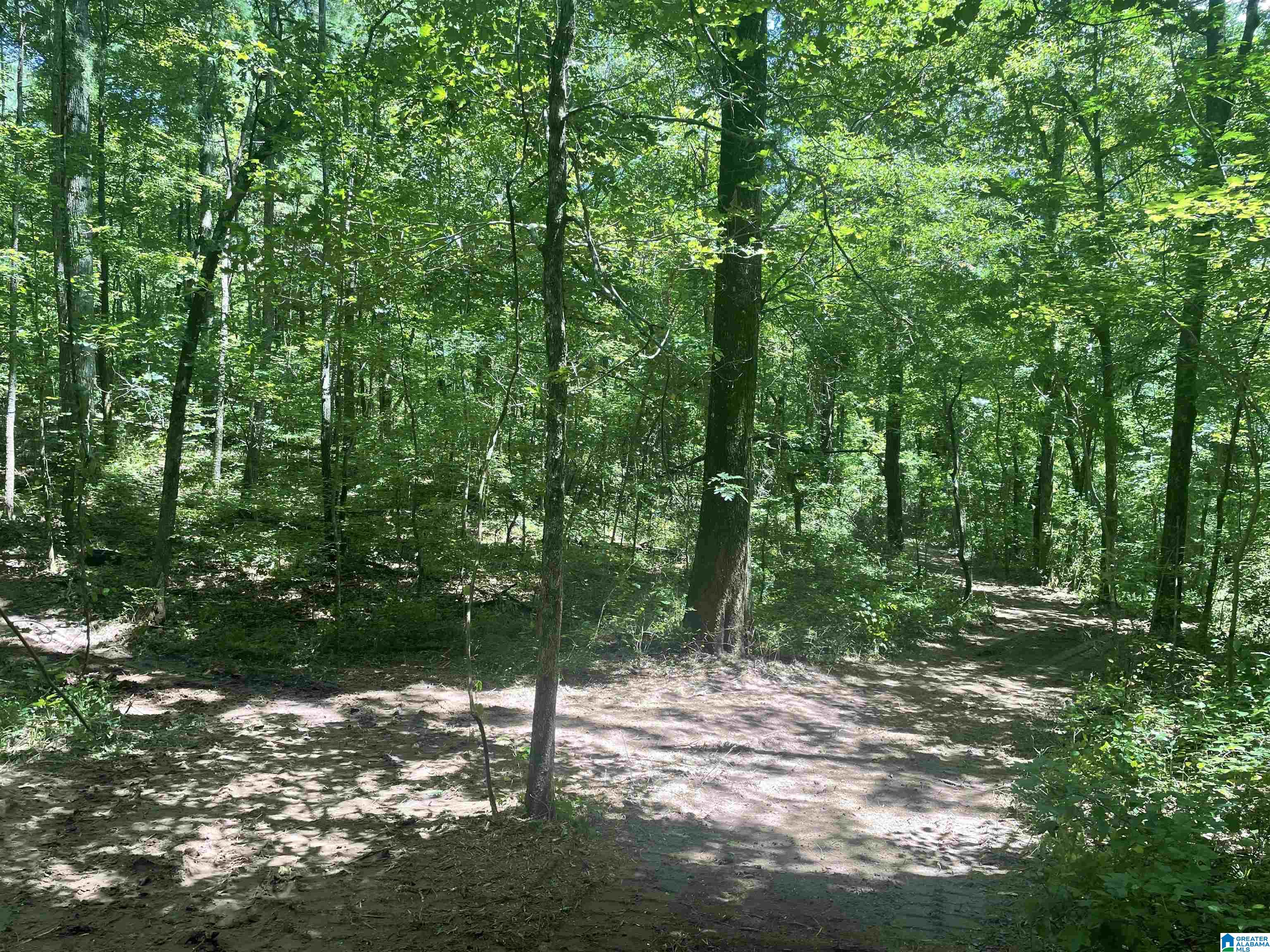 6740 Tucker Brown Road, Unit 9 75 Pinson, AL 35126 - Photo 26 of 44