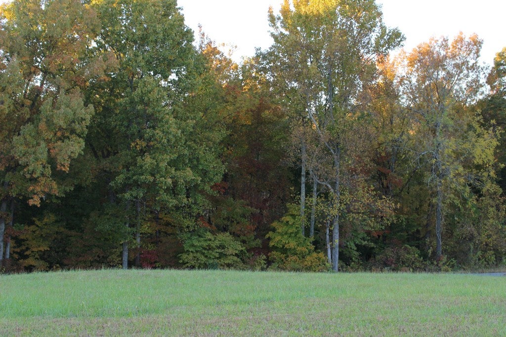 1233 Apple Grove Road Summer Shade, KY 42166 - Photo 15 of 18 Gallery Image 15