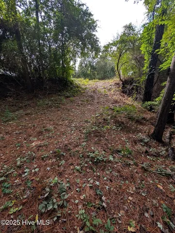 $73,000 | 0 State Road 1300, Trenton, NC 28585