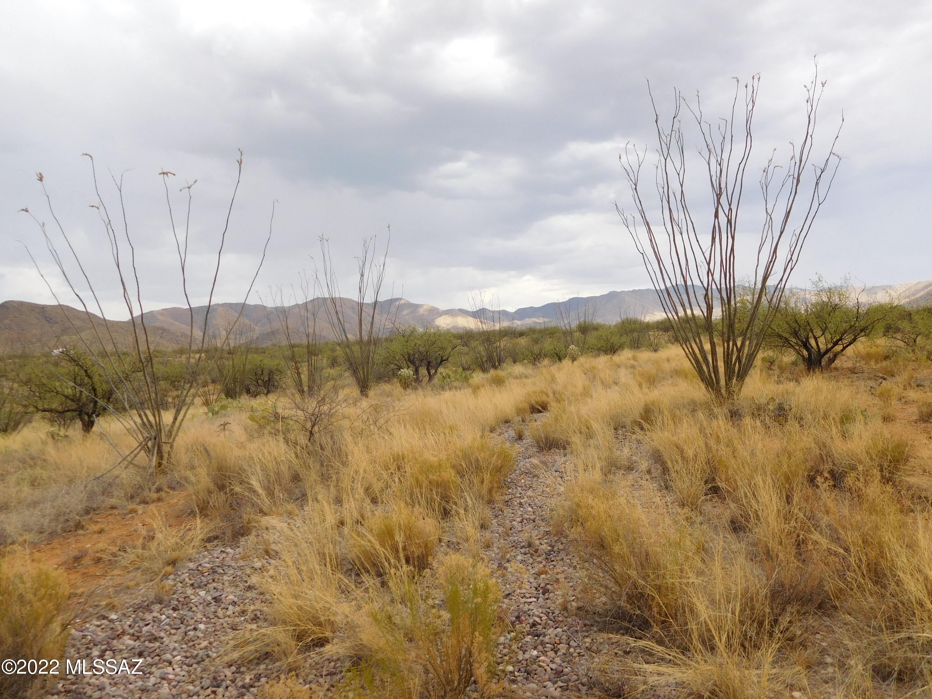 16705 South Sierrita Mountain Road Tucson, AZ 85736 - Photo 24 of 38