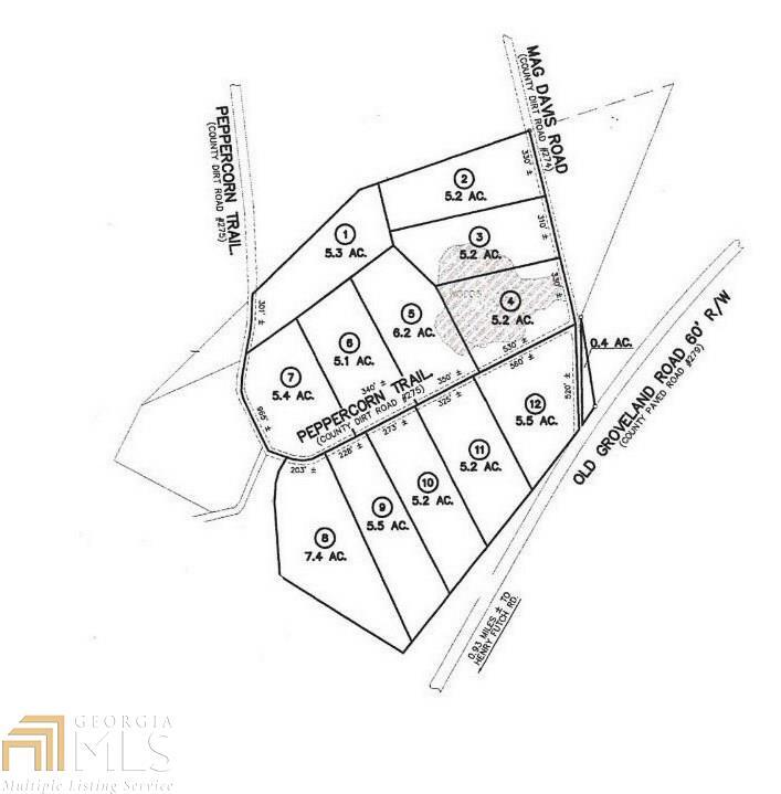 0 Mag Davis Road, Unit LOT 3 Pembroke, GA 31321 - Photo 1 of 1