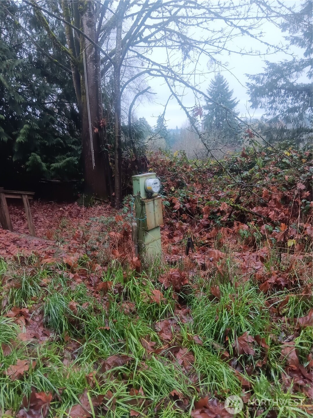 365 Southeast Arcadia Road Shelton, WA 98584 - Photo 3 of 6 a backyard of a house with lots of green space