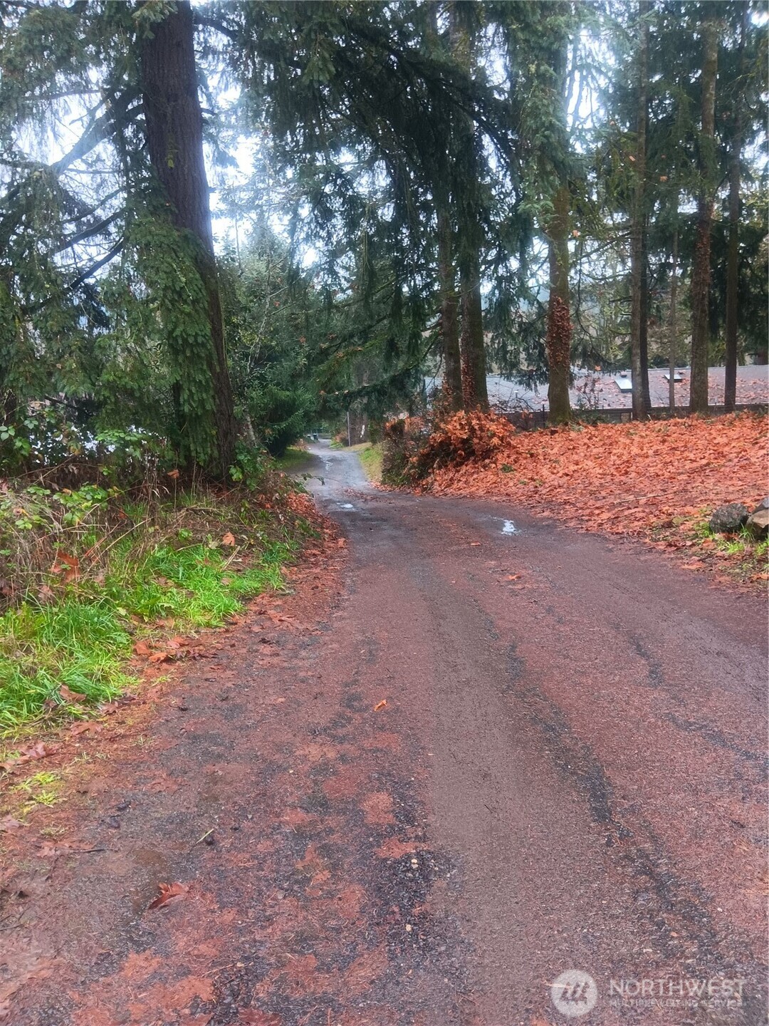365 Southeast Arcadia Road Shelton, WA 98584 - Photo 5 of 6 a view of road with trees in the background