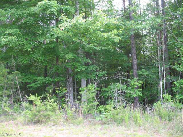 0 Hauser Road Pinnacle, NC 27043 - Photo 3 of 3 Other.