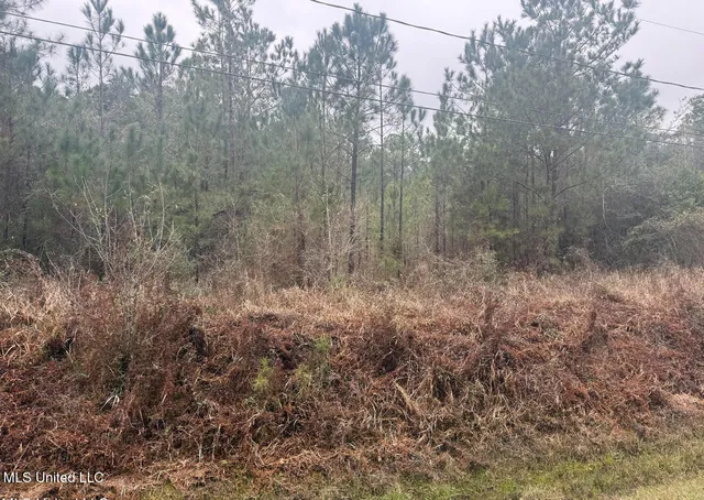 $70,000 | 0 Louisiana Avenue, Gulfport, MS 39501