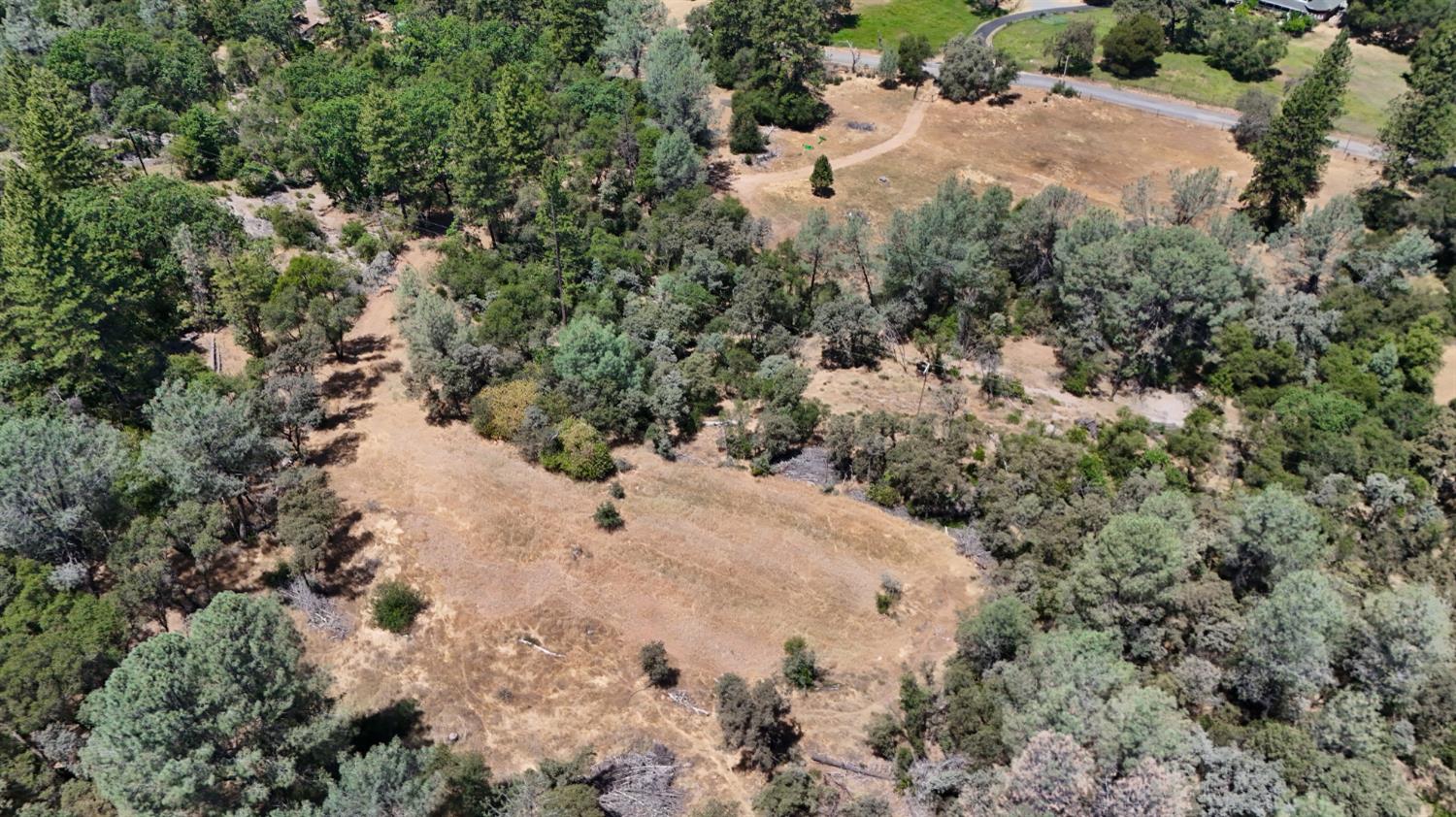 21833 McCourtney Road Grass Valley, CA 95949 - Photo 13 of 40 a view of a forest with trees