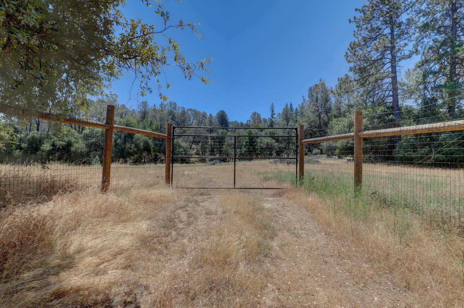 21833 McCourtney Road Grass Valley, CA 95949 - Photo 15 of 40 a view of outdoor space and yard