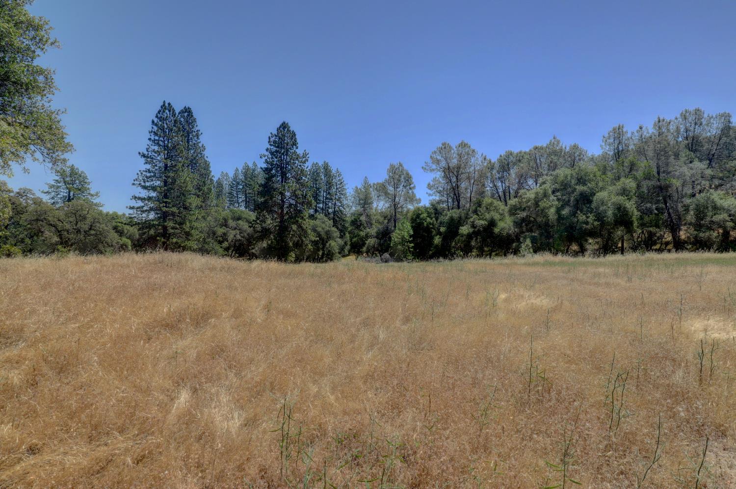 21833 McCourtney Road Grass Valley, CA 95949 - Photo 16 of 40 a view of a field with trees in the background