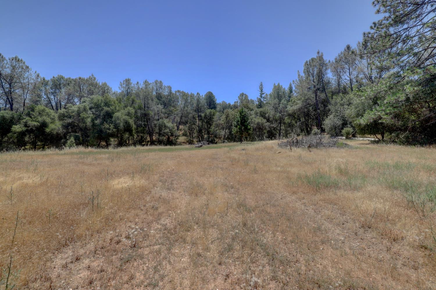 21833 McCourtney Road Grass Valley, CA 95949 - Photo 17 of 40 a view of dirt field with trees in background