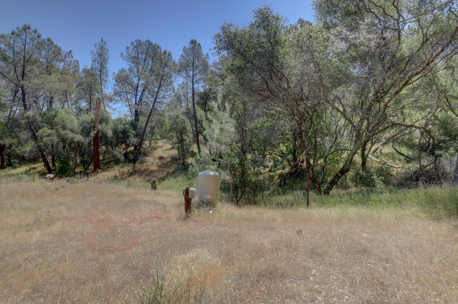 21833 McCourtney Road Grass Valley, CA 95949 - Photo 19 of 40 a view of a forest with trees in the background