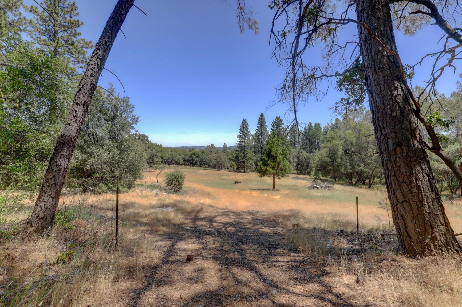 21833 McCourtney Road Grass Valley, CA 95949 - Photo 21 of 40 a view of a yard with a tree