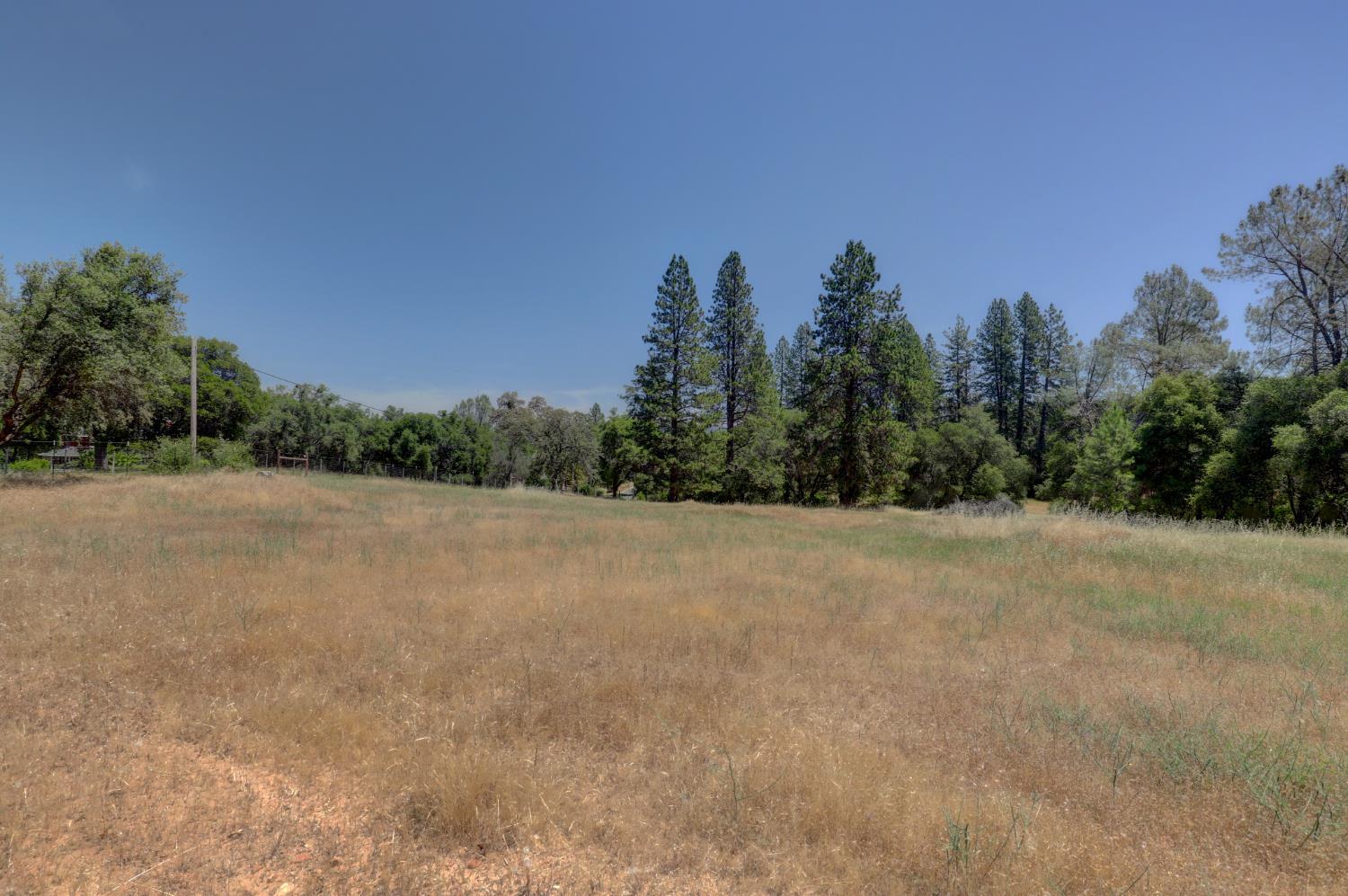 21833 McCourtney Road Grass Valley, CA 95949 - Photo 23 of 40 a view of a field with trees in background