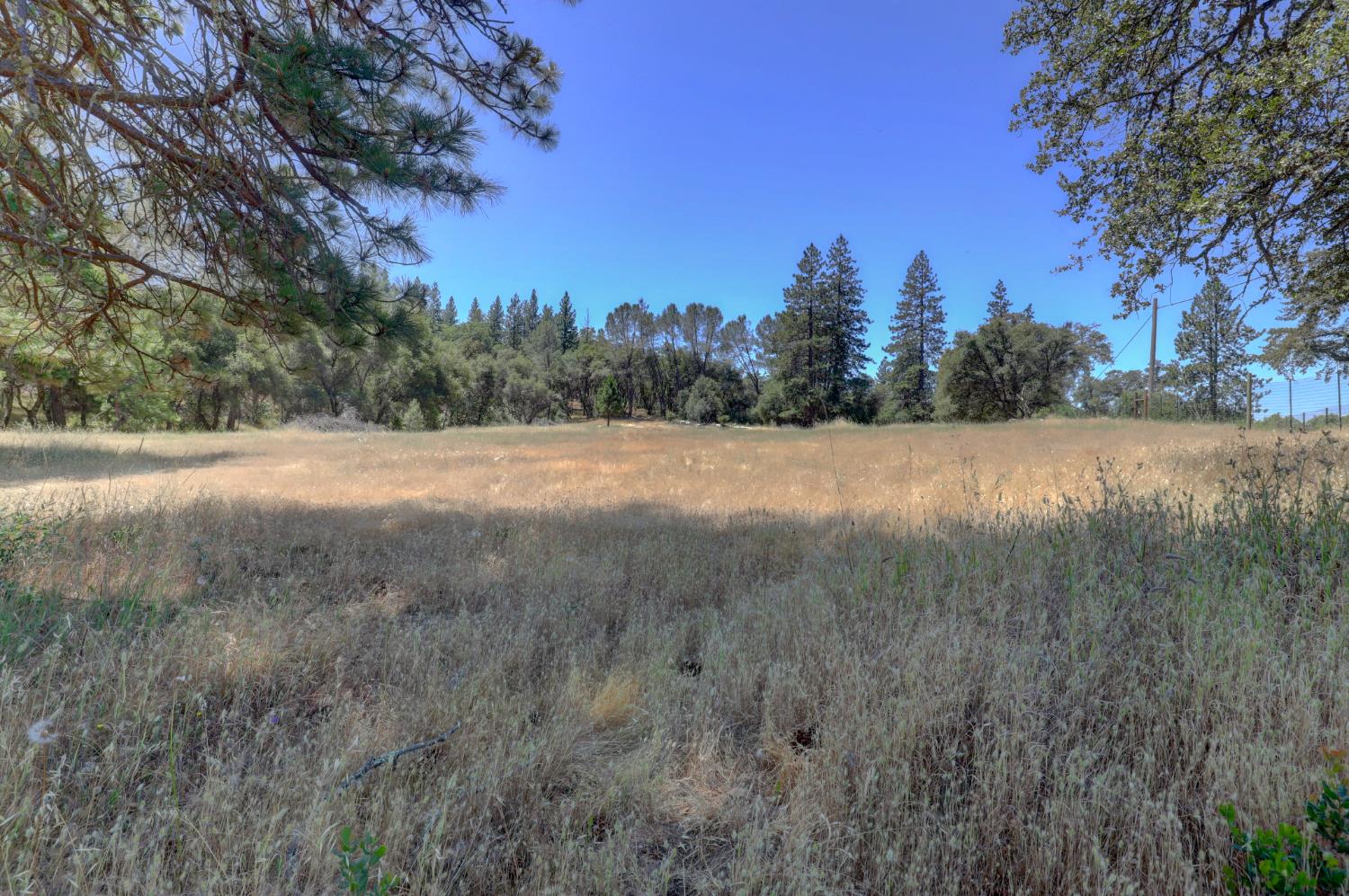 21833 McCourtney Road Grass Valley, CA 95949 - Photo 24 of 40 a view of an outdoor space and a yard