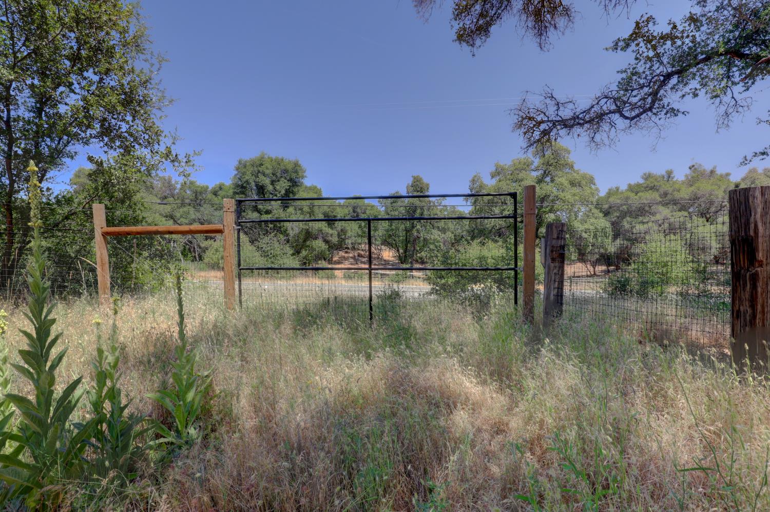 21833 McCourtney Road Grass Valley, CA 95949 - Photo 28 of 40 a view of river covered with trees
