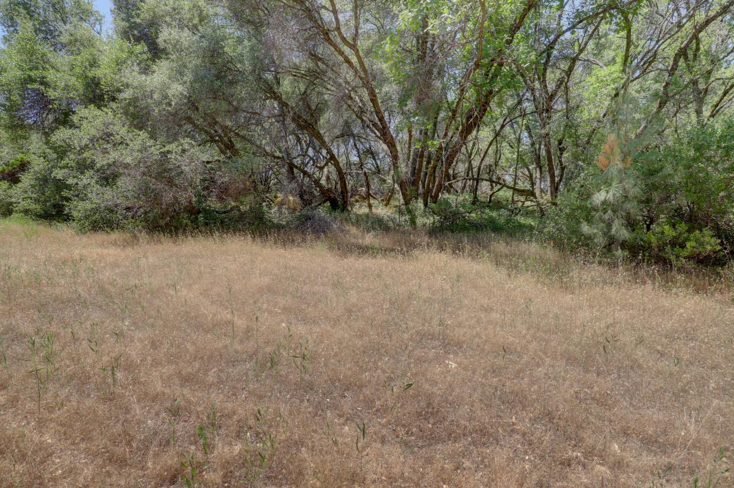 21833 McCourtney Road Grass Valley, CA 95949 - Photo 29 of 40