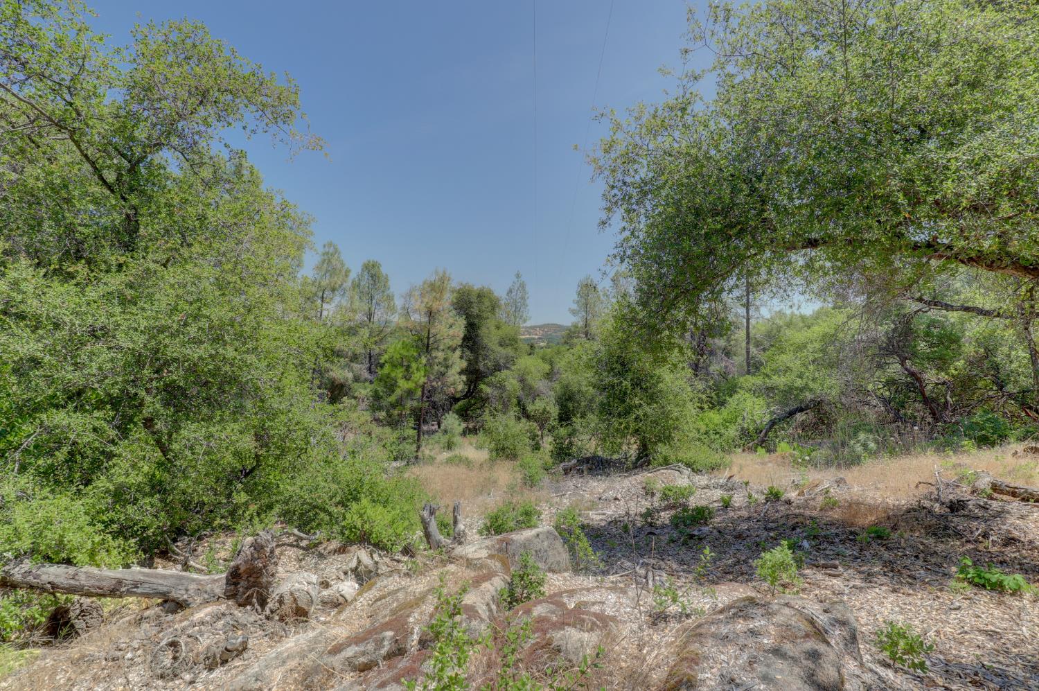 21833 McCourtney Road Grass Valley, CA 95949 - Photo 31 of 40 a view of a forest with trees in the background