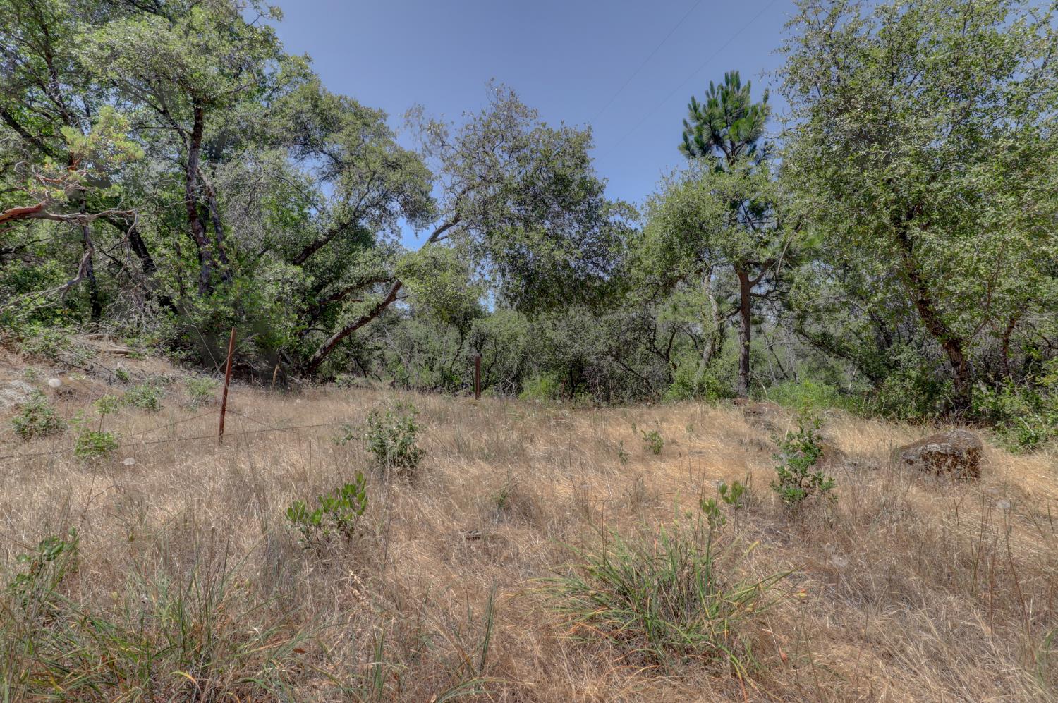 21833 McCourtney Road Grass Valley, CA 95949 - Photo 32 of 40 a view of a dry yard with trees