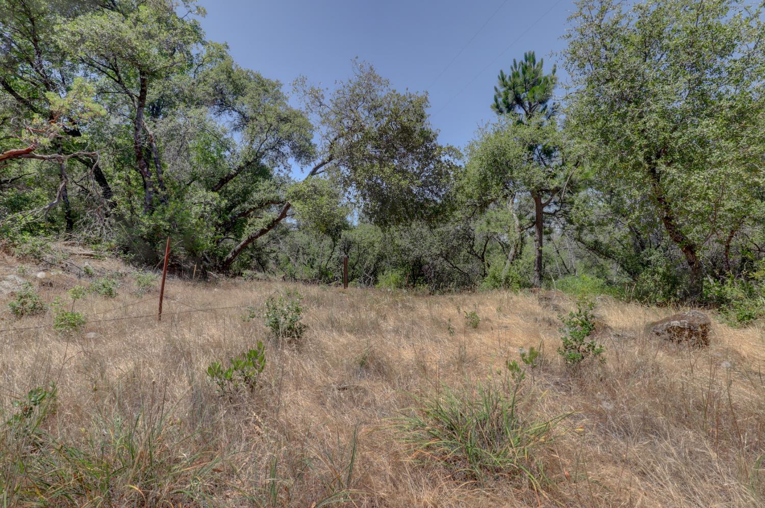 21833 McCourtney Road Grass Valley, CA 95949 - Photo 33 of 40 a view of a dry yard with trees