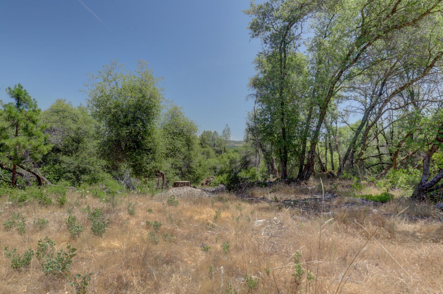21833 McCourtney Road Grass Valley, CA 95949 - Photo 34 of 40 a view of a forest with trees in the background