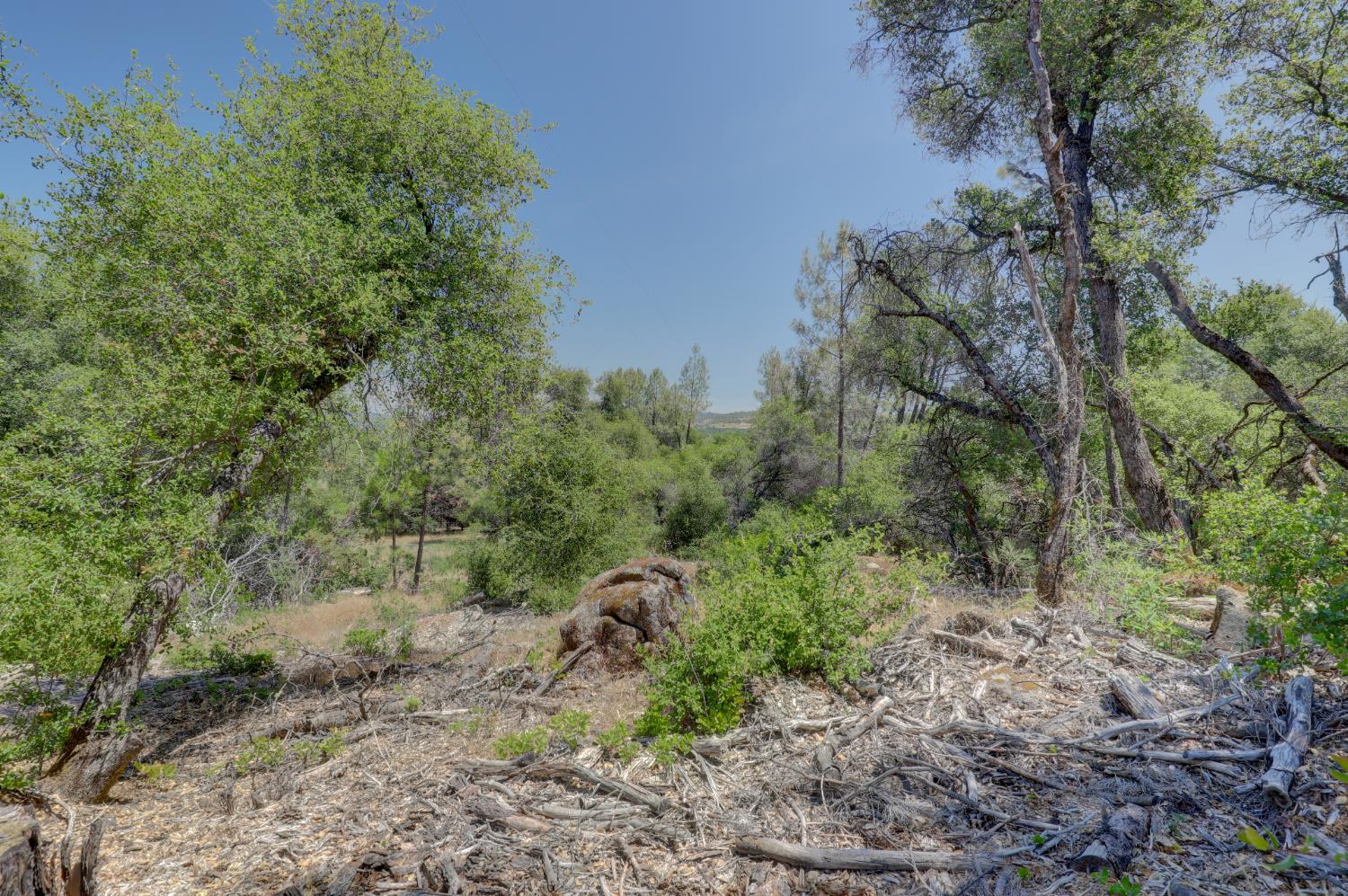 21833 McCourtney Road Grass Valley, CA 95949 - Photo 35 of 40 a view of a large yard with lots of trees