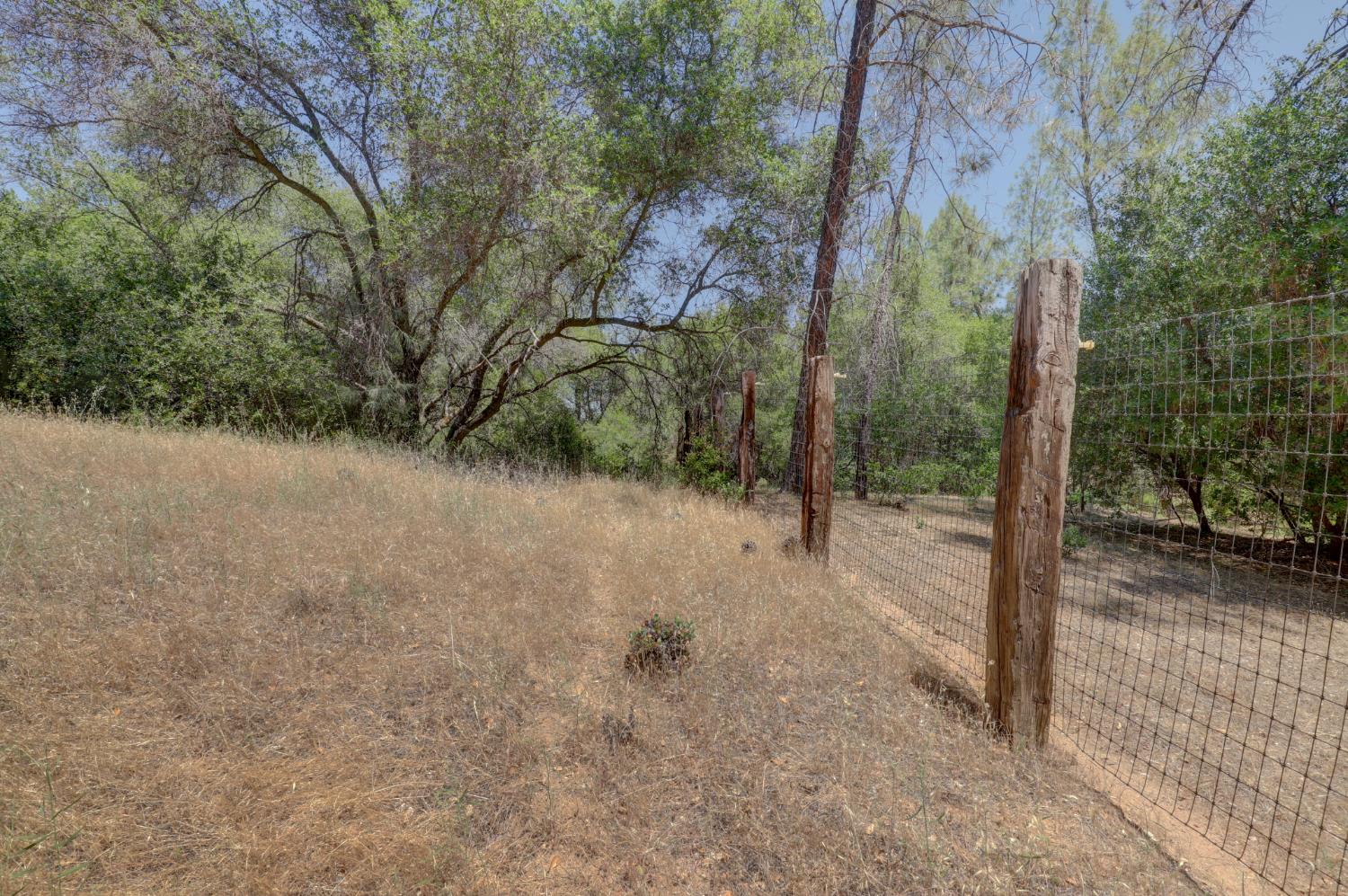 21833 McCourtney Road Grass Valley, CA 95949 - Photo 36 of 40 a view of a forest with trees