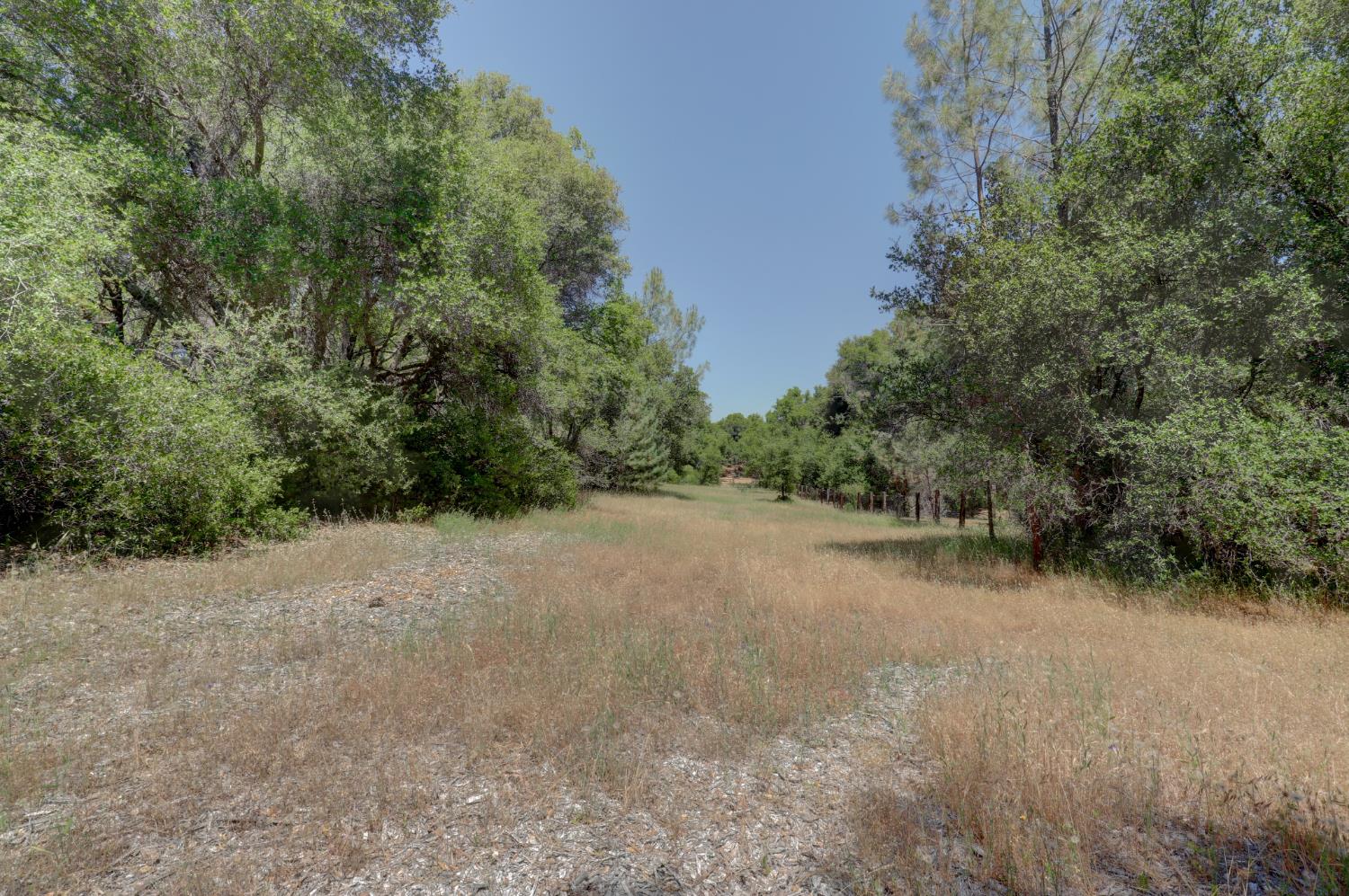 21833 McCourtney Road Grass Valley, CA 95949 - Photo 37 of 40 a view of a forest with trees in the background