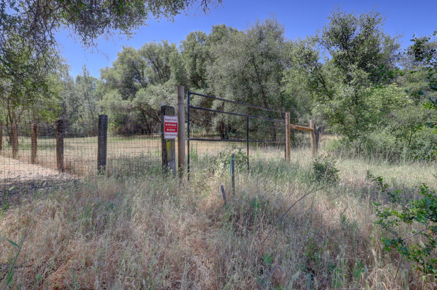 21833 McCourtney Road Grass Valley, CA 95949 - Photo 38 of 40 a view of river covered with trees
