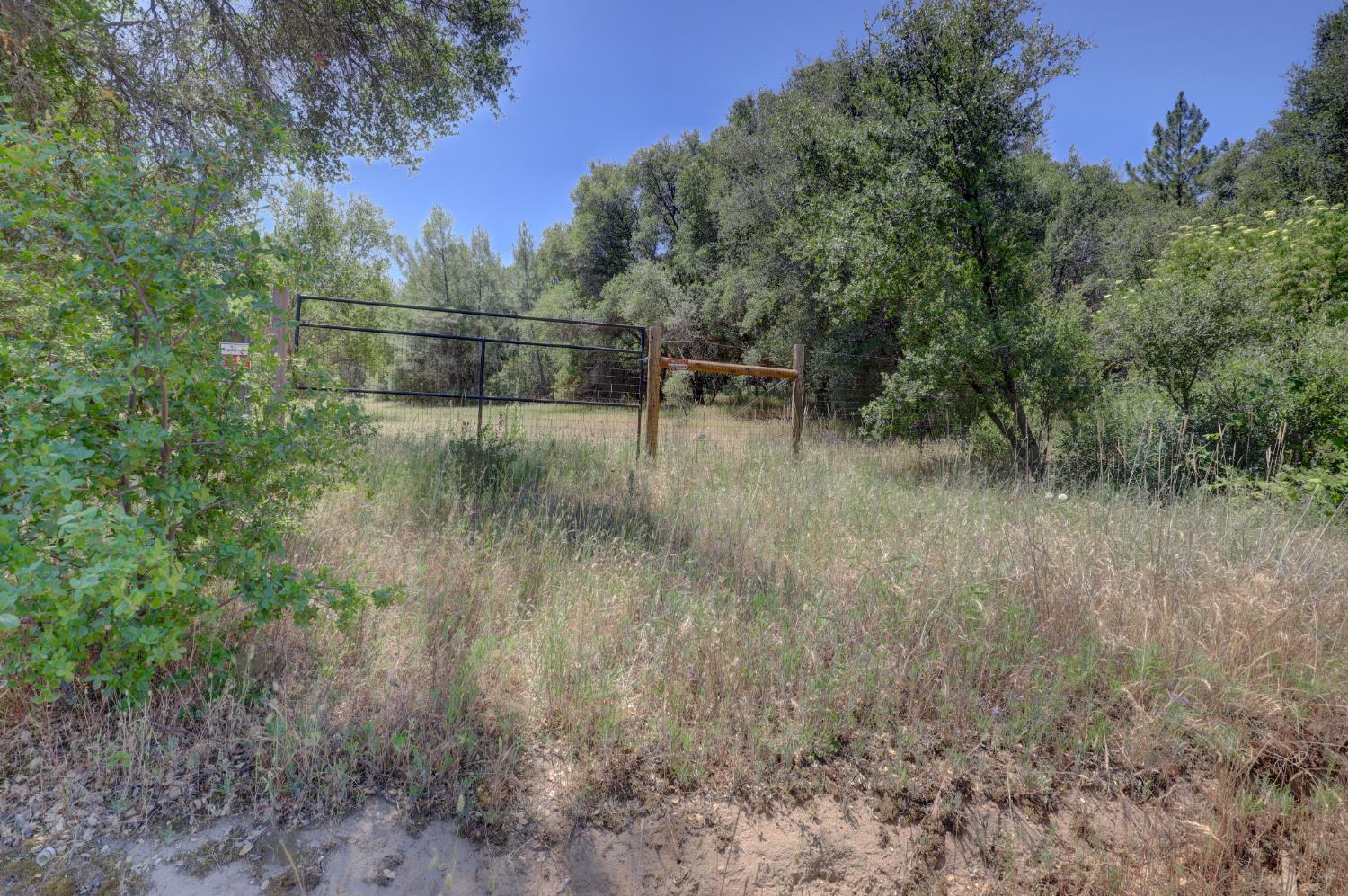 21833 McCourtney Road Grass Valley, CA 95949 - Photo 39 of 40 a view of river covered with trees