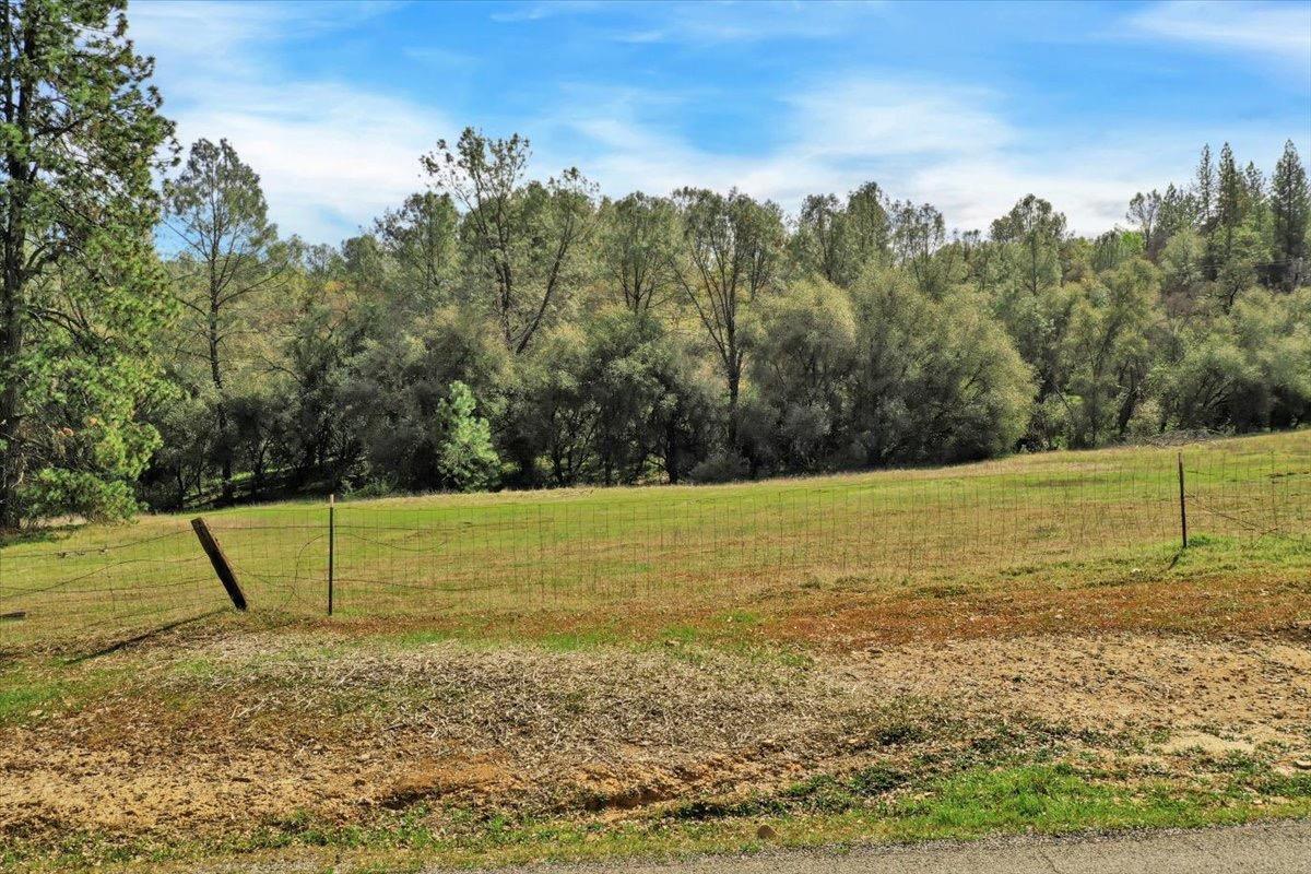 21833 McCourtney Road Grass Valley, CA 95949 - Photo 4 of 40 a view of a field with a tree