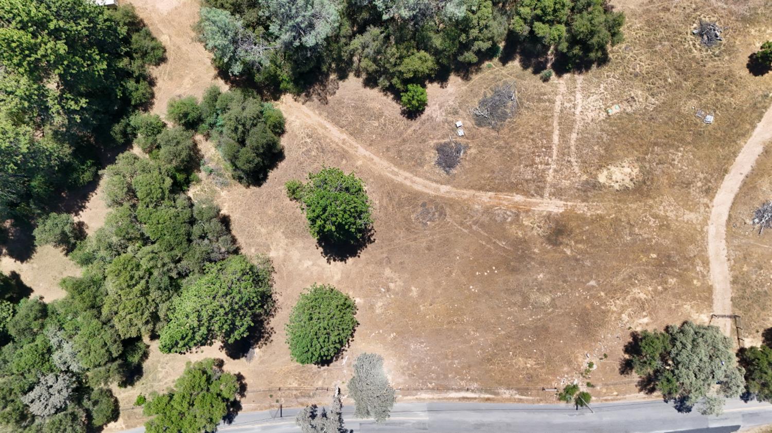 21833 McCourtney Road Grass Valley, CA 95949 - Photo 8 of 40 a view of a yard with plants