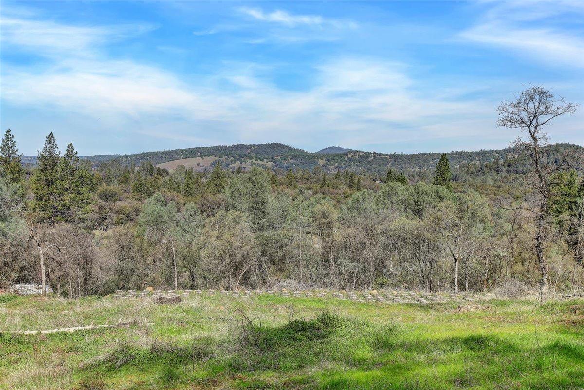 21833 McCourtney Road Grass Valley, CA 95949 - Photo 9 of 40 a view of a big yard