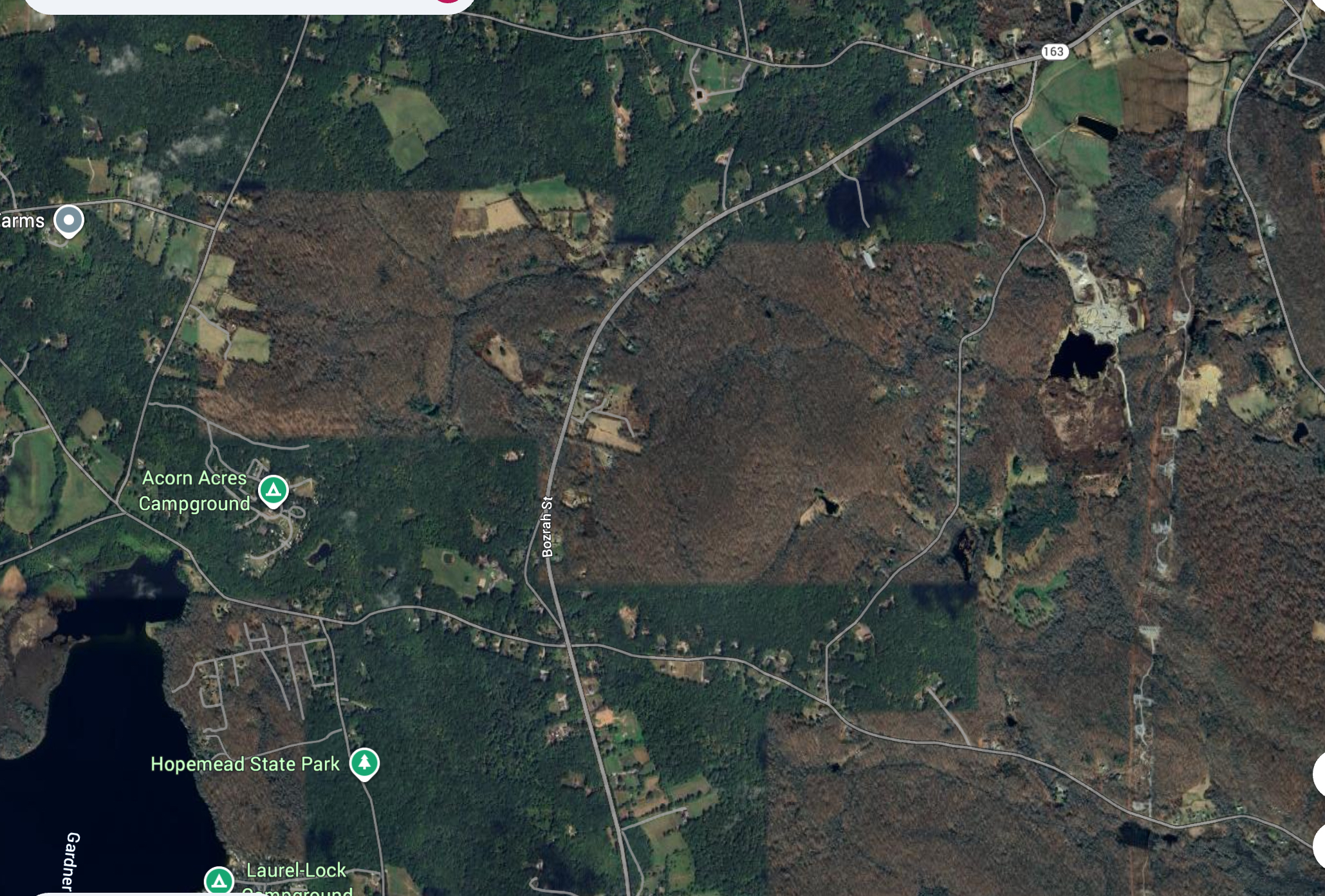 Bozrah Street Bozrah, CT 06334 - Photo 7 of 9 a picture of a tree