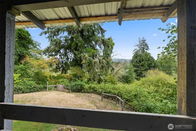 a view of a yard from a window