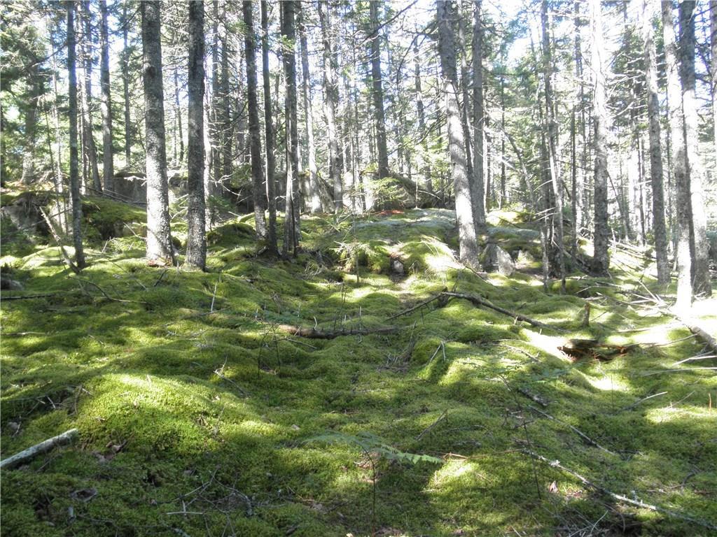 2 Ritz Road Vinalhaven, ME 04863 - Photo 14 of 19 Photo