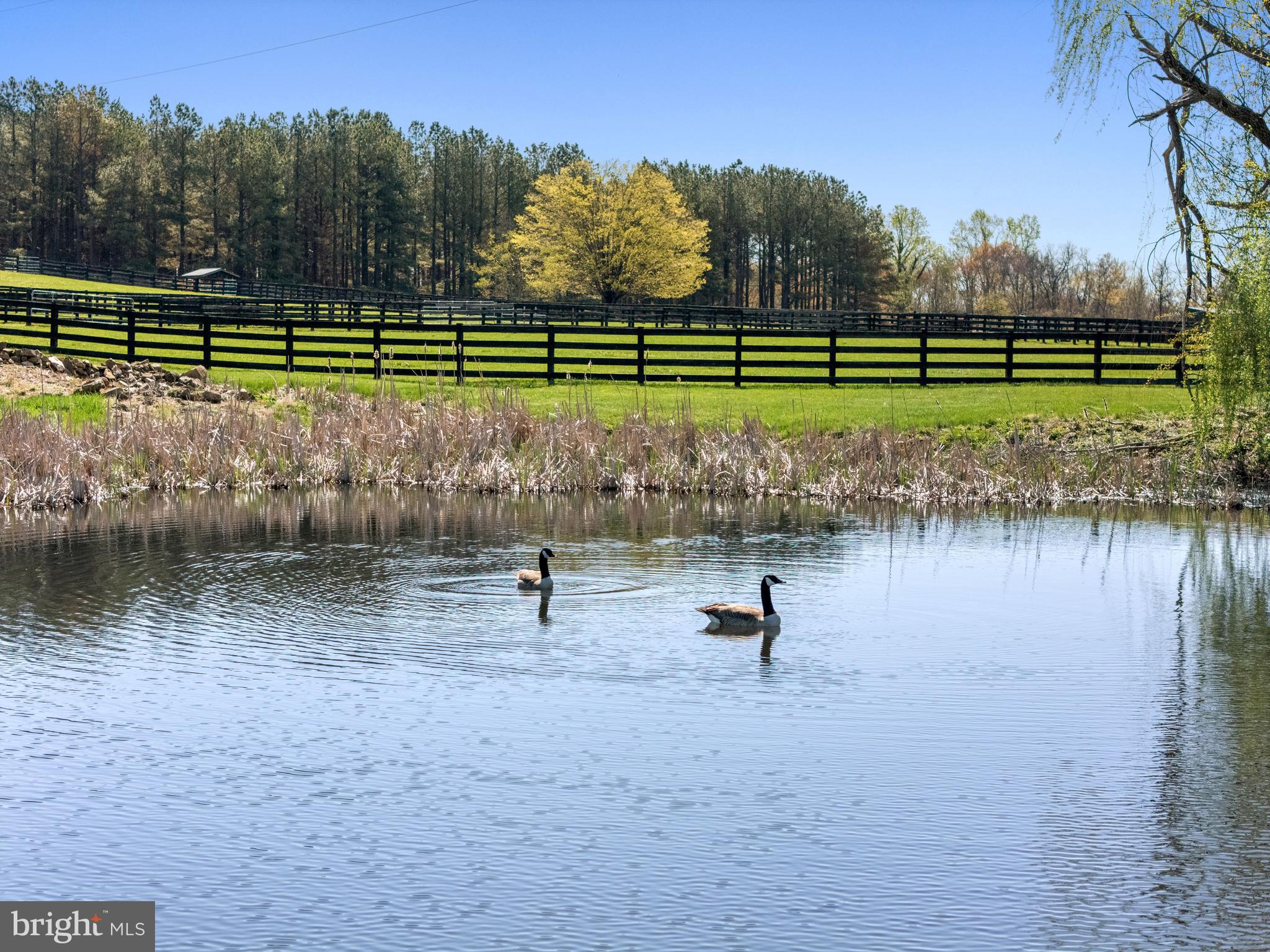 3252 Winchester Road Delaplane, VA 20144 - Photo 74 of 74