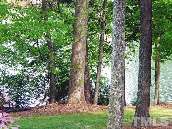 4807 Sinclair Drive Raleigh, NC 27616 - Photo 24 of 25 a view of a yard with large trees