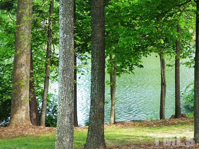 4807 Sinclair Drive Raleigh, NC 27616 - Photo 25 of 25 a view of a yard with large trees