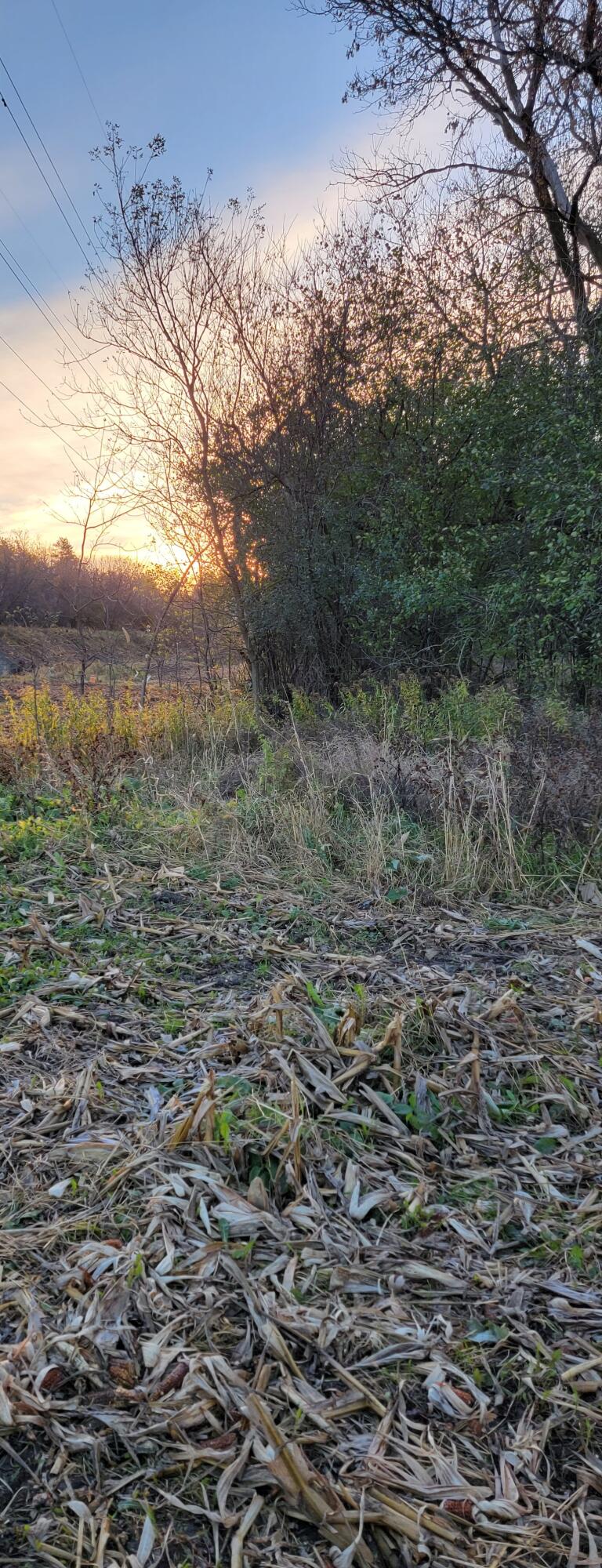 Lt1 Sleepy Hollow Road West Bend, WI 53090 - Photo 8 of 12 20211101_080034
