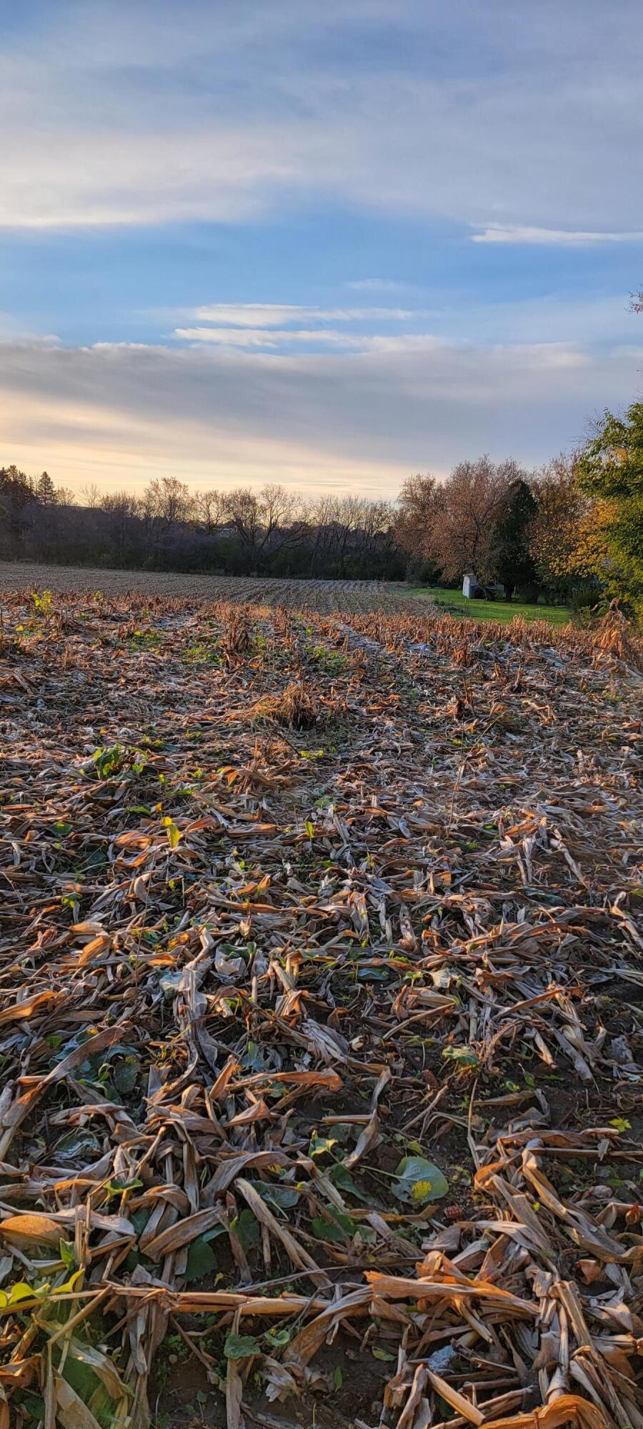Lt1 Sleepy Hollow Road West Bend, WI 53090 - Photo 10 of 12 20211101_075849