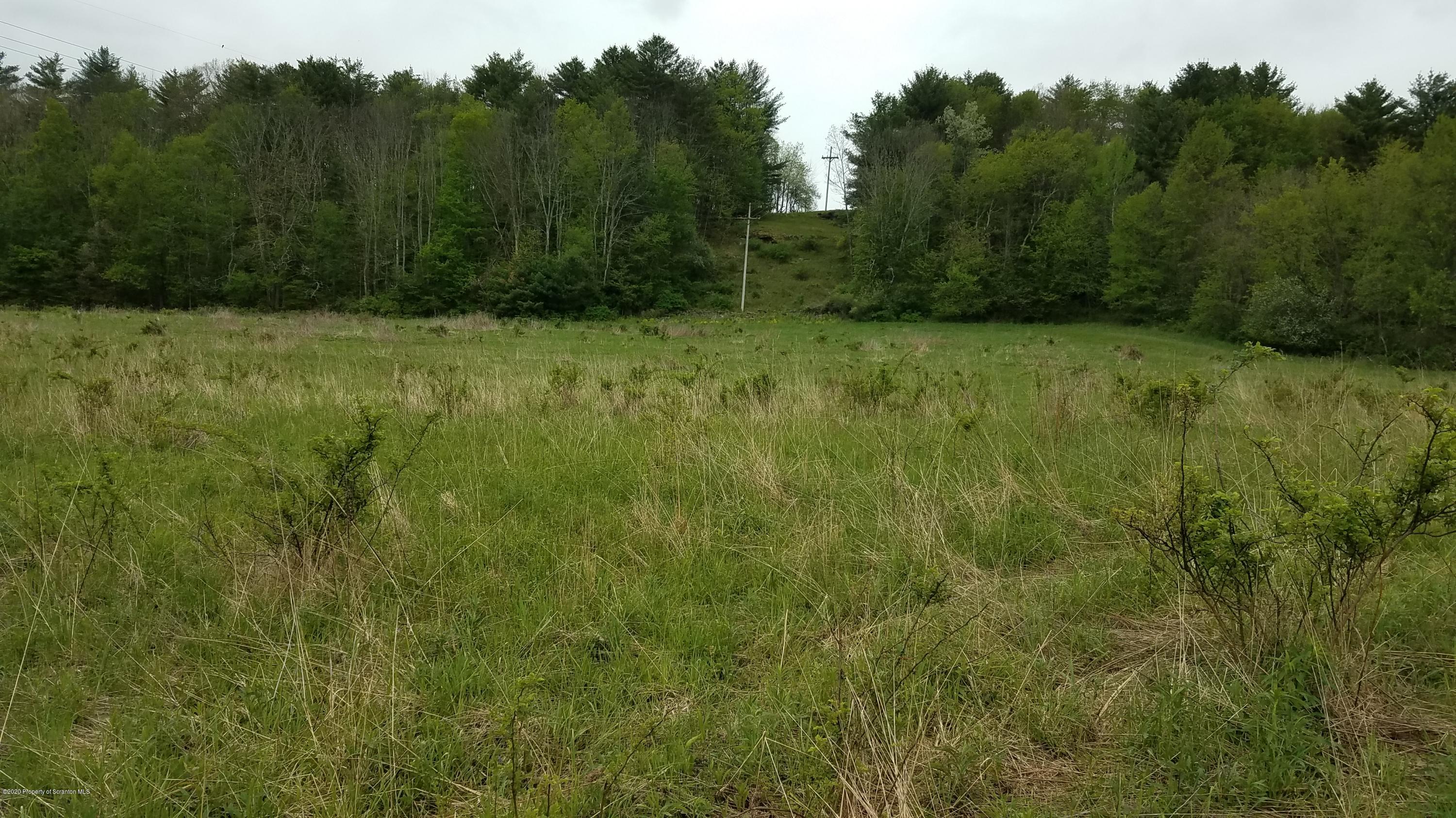 0 Brecht Hill Road Nicholson, PA 18446 - Photo 3 of 6 a view of a green field with trees in the background