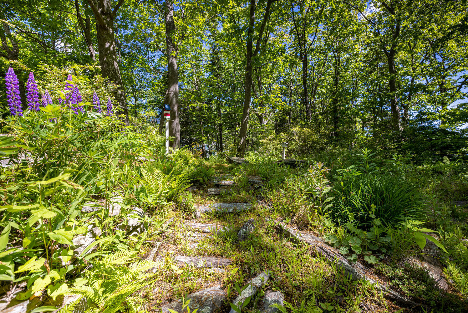 8 Waumbek Road Cape Elizabeth, ME 04107 - Photo 12 of 45 8 Waumbek Rd Cape Elizabeth ME-large-046