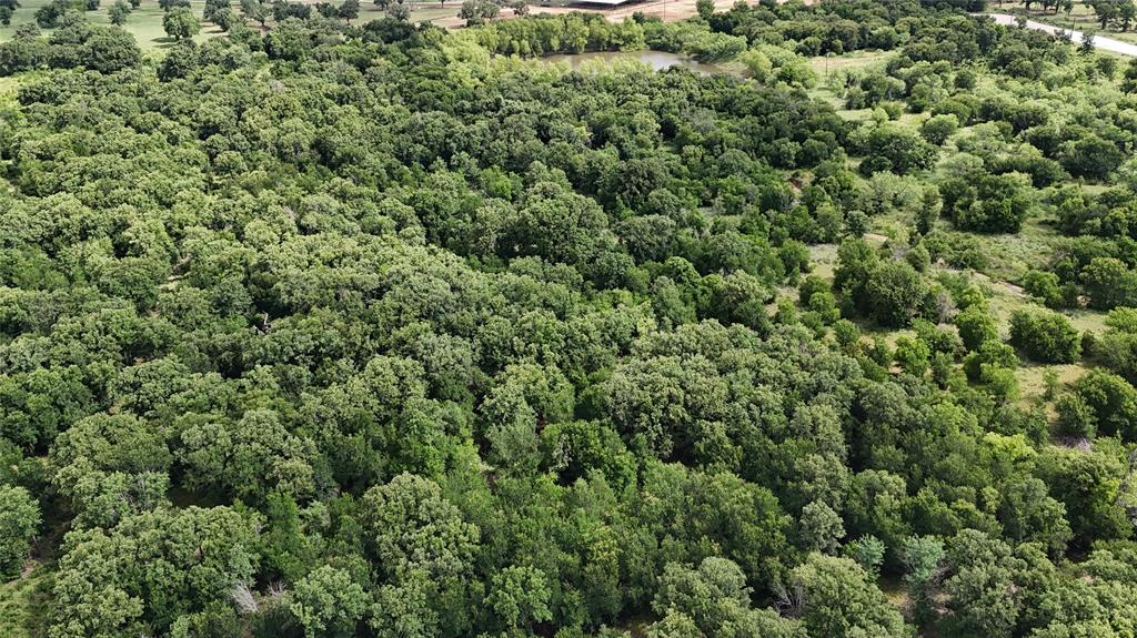 30 Oasis Court Perrin, TX 76486 - Photo 27 of 30