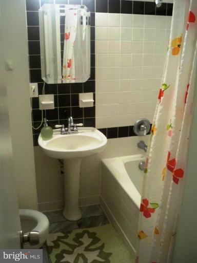 4430 Roundhill Road Alexandria, VA 22310 - Photo 12 of 14 Jetted 2 person tub
