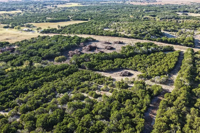 an aerial view of residential houses with outdoor space and trees
